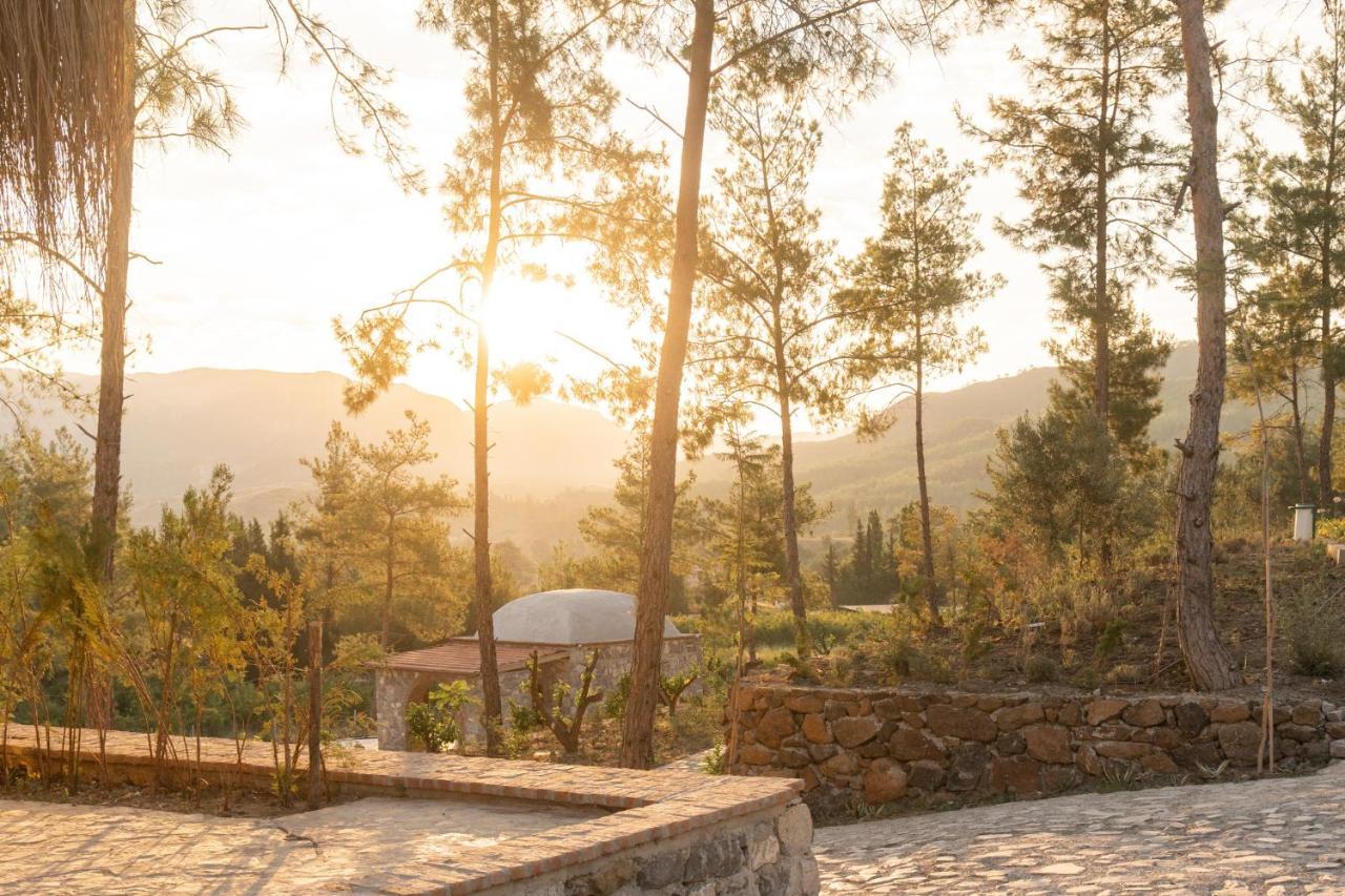 Izz Getaway - Adults Only 3* גוג'ק